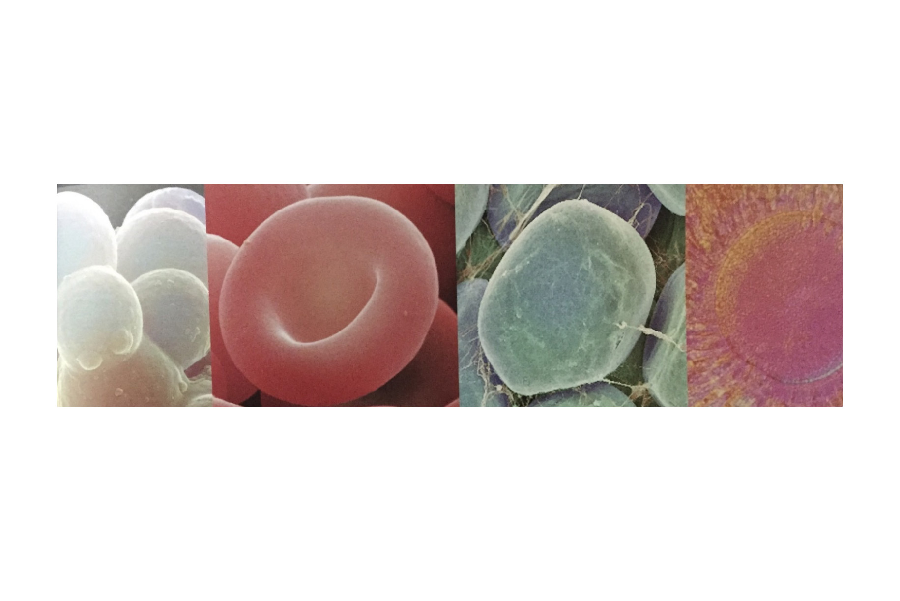 Scopri di più sull'articolo Ripartire dagli errori